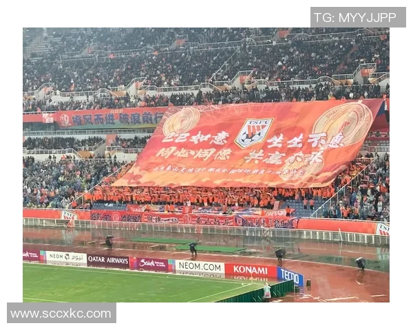 鲁能对阵庆南亚冠直播全程回顾及精彩瞬间分析